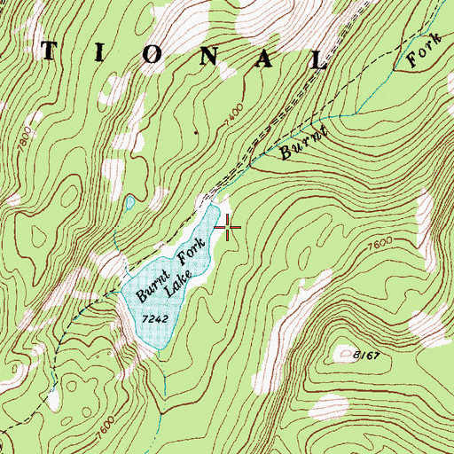 Topographic Map of Burnt Fork Dam, MT
