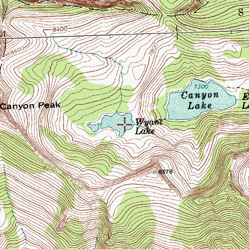 Topographic Map of Wyant Lake Dam, MT