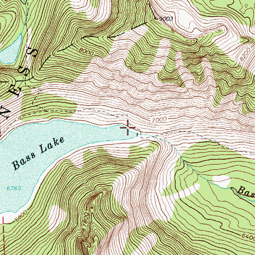 Topographic Map of Bass Lake Dam, MT