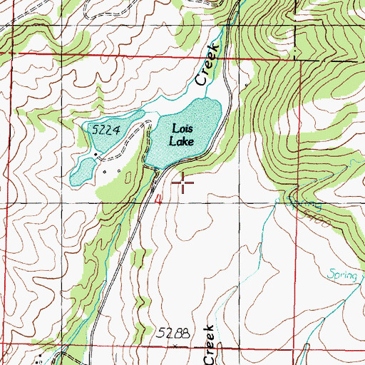 Topographic Map of Snowshoe Dam, MT