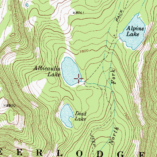 Topographic Map of Albicaulis Lake Dam, MT
