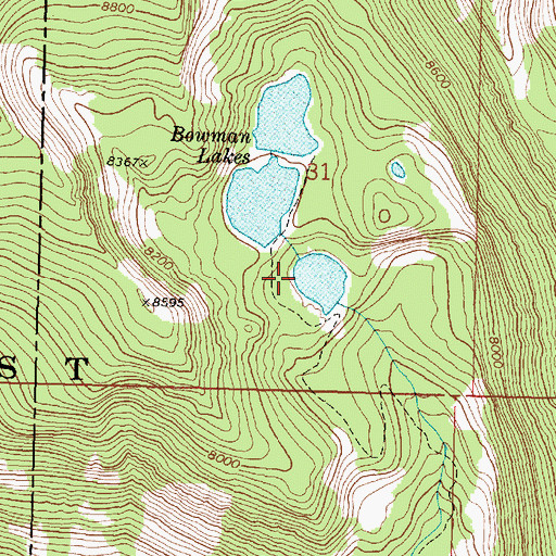 Topographic Map of Bowman Lake Number 1 Dam, MT