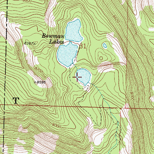 Topographic Map of Lower Bowman Lake, MT