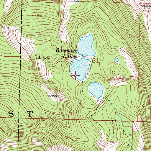 Topographic Map of Bowman Lake Number 3 Dam, MT