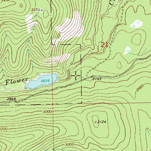 Topographic Map of Flower Creek Dam, MT