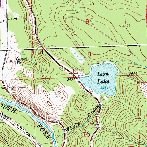 Topographic Map of Lion Lake, MT