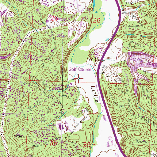Topographic Map of Lake Rayburn, AR