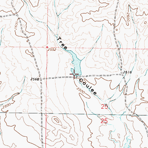 Topographic Map of Tree Coulee Dam, MT