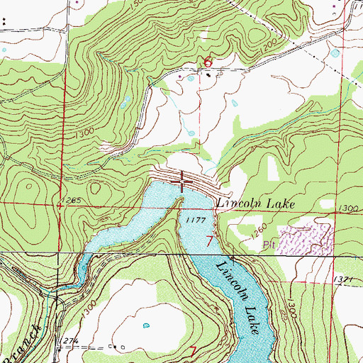 Topographic Map of Lincoln Lake Dam, AR