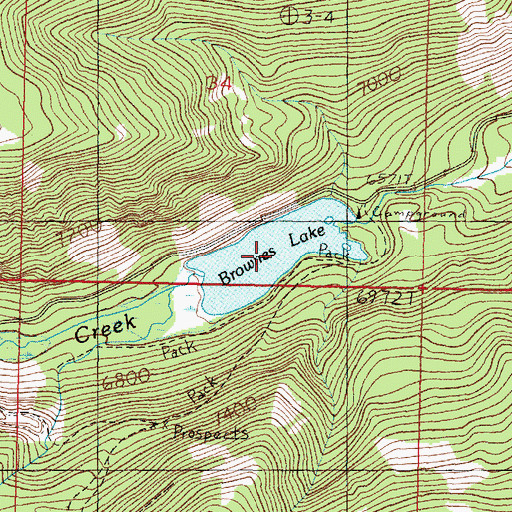 Topographic Map of Brownes Lake, MT