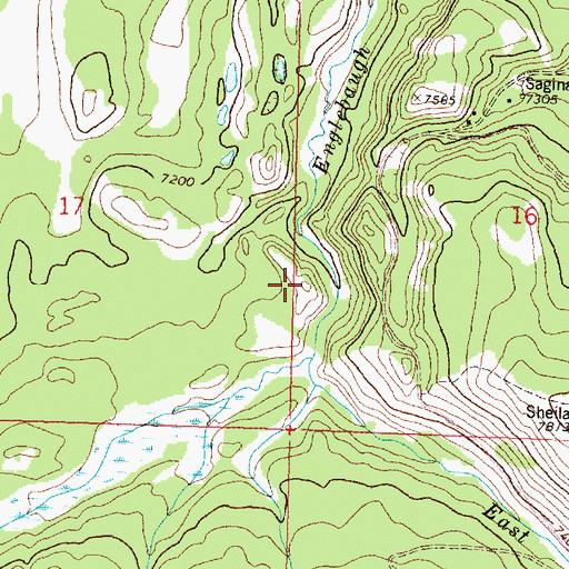 Topographic Map of Lazy Jackson Dam, MT