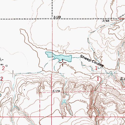 Topographic Map of Squiggles Number 2 Dam, MT