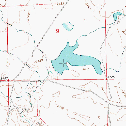 Topographic Map of Delilah Dam, MT