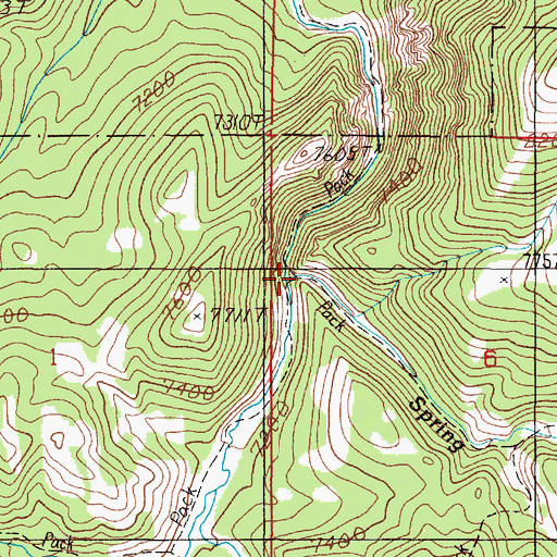 Topographic Map of Spring Creek, MT