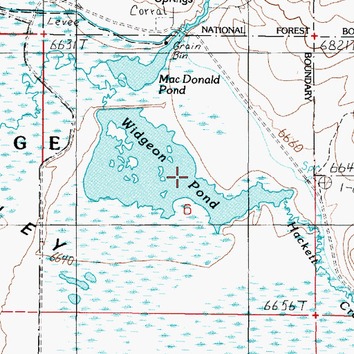Topographic Map of Widgeon Pond, MT