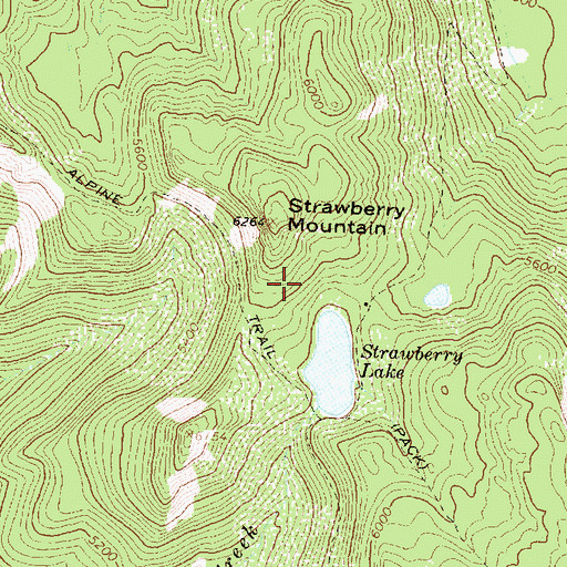 Topographic Map of Strawberry Lake Forest Service Station, MT