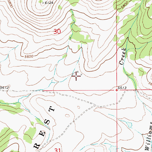 Topographic Map of Mc Guire Ranch, MT