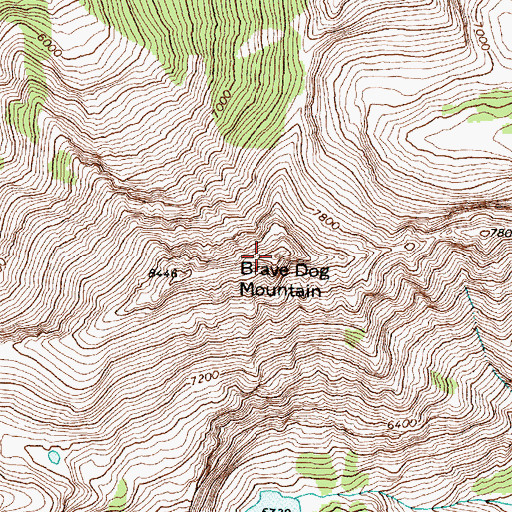 Topographic Map of Brave Dog Mountain, MT