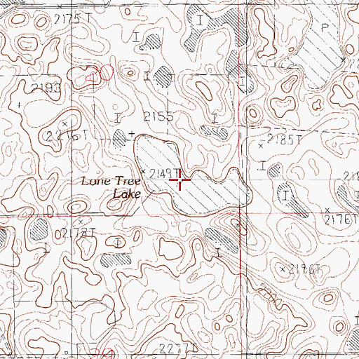 Topographic Map of Lone Tree Lake, MT
