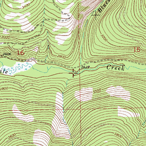 Topographic Map of Bluesky Creek, MT
