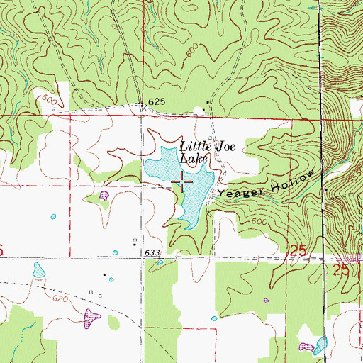 Topographic Map of Little Joe Lake, AR