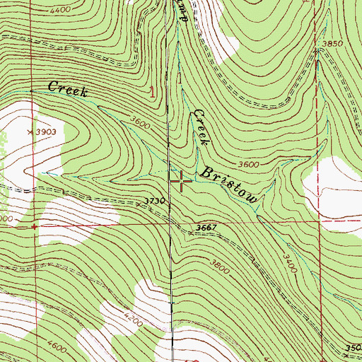 Topographic Map of Camp Creek, MT