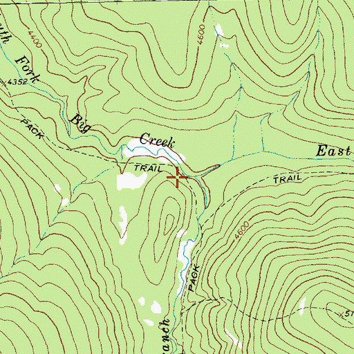 Topographic Map of East Branch South Fork Big Creek, MT
