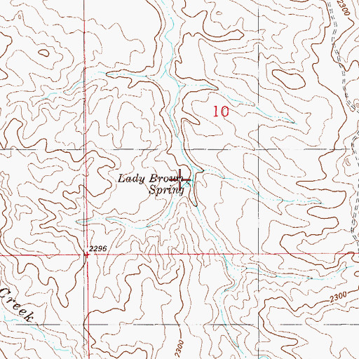 Topographic Map of Lady Brown Spring, MT