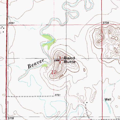 Topographic Map of Baird Butte, MT
