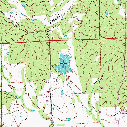 Topographic Map of Wallace Lake, AR