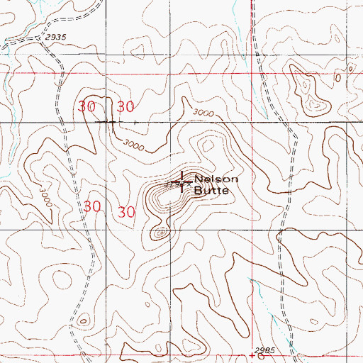Topographic Map of Nelson Butte, MT