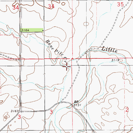 Topographic Map of Bone Pile Creek, MT