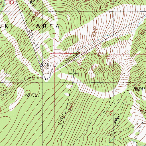Topographic Map of Andesite Lookout Tower, MT