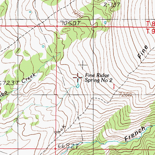 Topographic Map of Fine Ridge Spring Number 2, MT