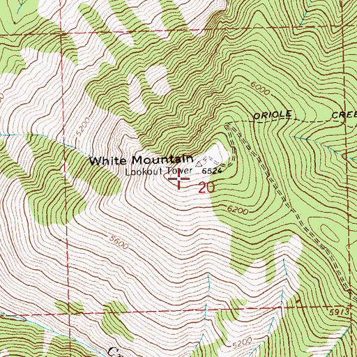 Topographic Map of White Mountain Lookout Tower, MT