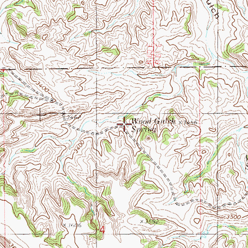 Topographic Map of Wood Gulch Spring, MT