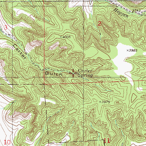 Topographic Map of Carter Spring, MT