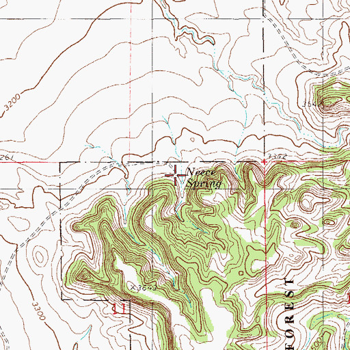 Topographic Map of Neece Spring, MT