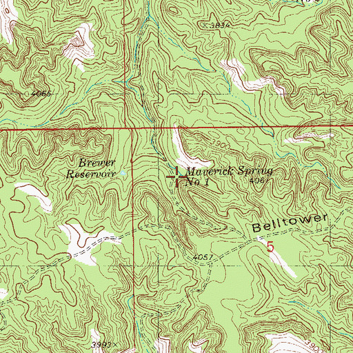 Topographic Map of Maverick Spring Number 1, MT