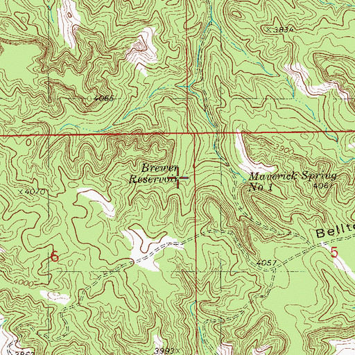 Topographic Map of Brewer Reservoir, MT