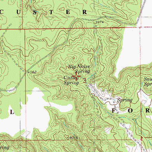 Topographic Map of Curley Spring, MT