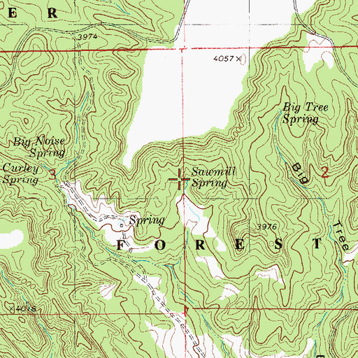 Topographic Map of Sawmill Spring, MT