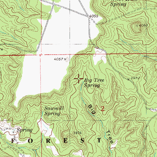 Topographic Map of Big Tree Spring, MT