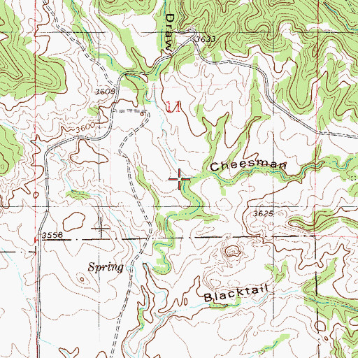 Topographic Map of Big Tree Draw, MT