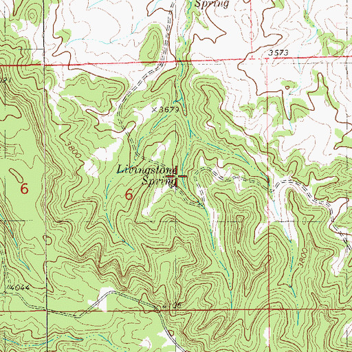 Topographic Map of Livingstone Spring, MT