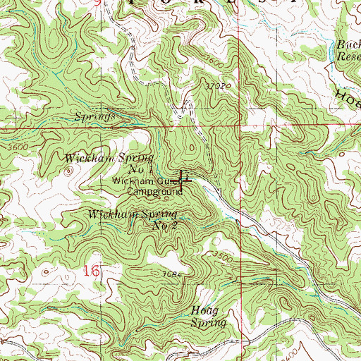 Topographic Map of Wickham Gulch Campground, MT