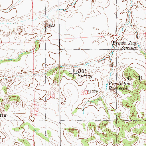 Topographic Map of Bill Spring, MT