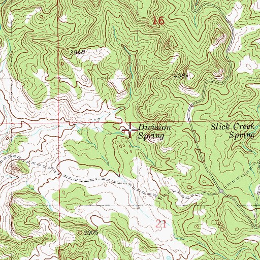 Topographic Map of Division Spring, MT