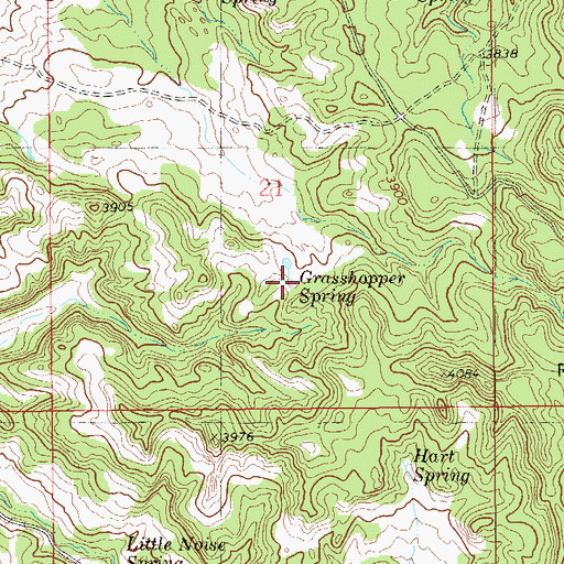 Topographic Map of Grasshopper Spring, MT