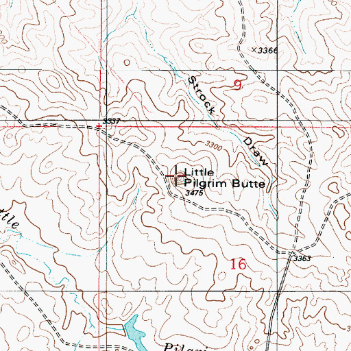 Topographic Map of Little Pilgrim Butte, MT